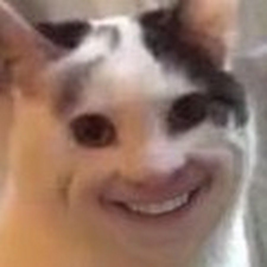 1ef80d29-7f13-66b0-e5ca-18c7b68a66c5